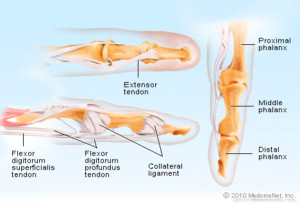 Right Ways to Treat a Jammed Finger Easily at Home