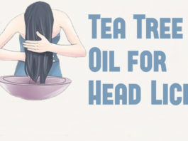 Tea Tree Oil for Lice