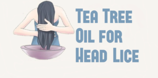 Tea Tree Oil for Lice