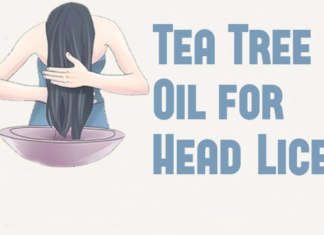 Tea Tree Oil for Lice