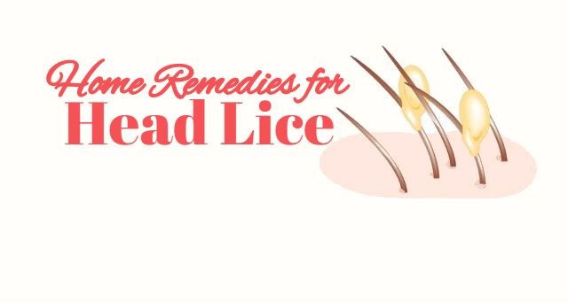 how to get rid of head lice using home remedies