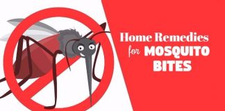 how to get rid of mosquito bites using home remedies for mosquito bites