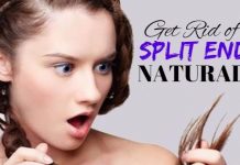 Home remedies to Get Rid of Split Ends